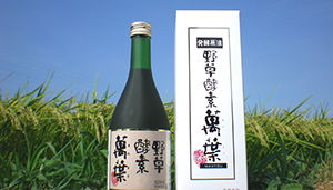 世博威·第二屆中國國際酵素產品展帶您認識正牌酵素