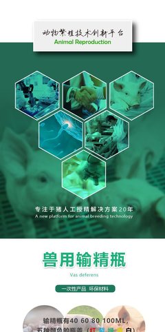 世博豬用輸精瓶 高效人工受精的關(guān)鍵工具